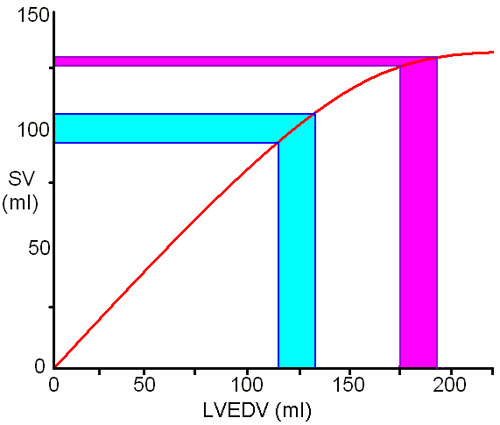 Graph 4